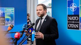 NATO nation willing to accept Ukrainian drone danger – foreign minister
