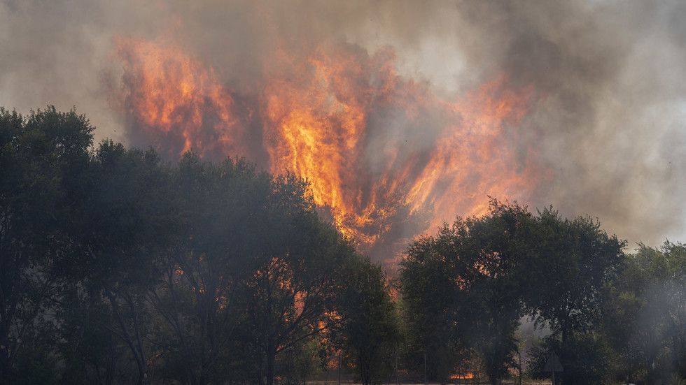 Wildfires force mass evacuations in France and Spain (VIDEOS)