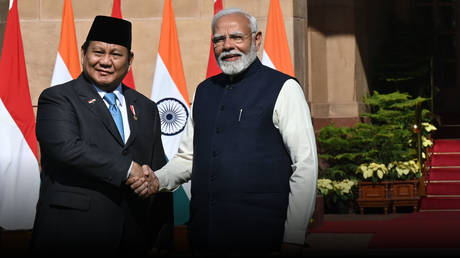 India and Indonesia working to lessen dollar reliance &ndash; envoy