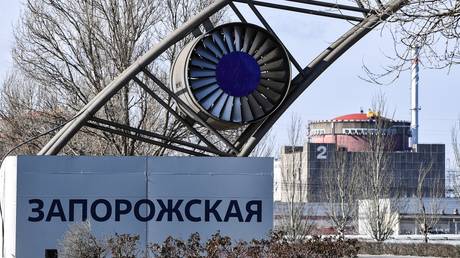 Moscow demands IAEA action over &lsquo;terrorist&rsquo; killing of nuclear plant staff
