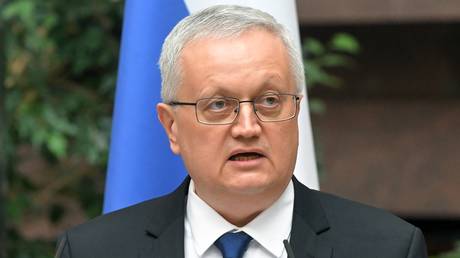 Kiev using Africa as &lsquo;second front&rsquo; against Russia &ndash; deputy FM