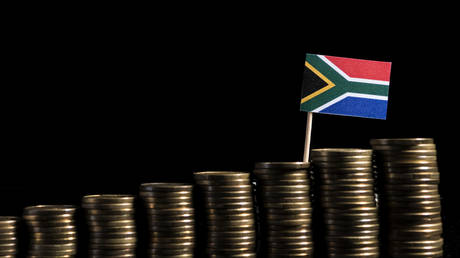 South African economy could be three times larger &ndash; former statistics chief