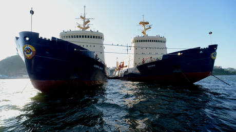 India to see huge benefits from Arctic sea route &ndash; maritime expert (VIDEO)