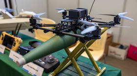 US diplomat wants to turn Taiwan into ‘hornet’s nest of drones’