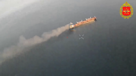 AI-powered Russian drones strike Ukrainian shipping (MOD VIDEOS)