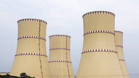 Russia mulls Indian rupee payments for Bangladesh’s nuclear plant – media