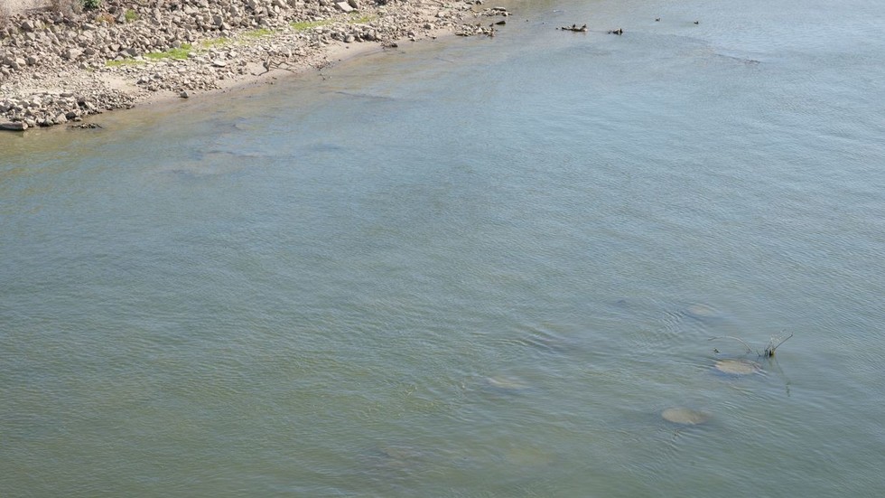 Sunken Nazi warships resurface in Europe amid record heatwave (PHOTOS)
