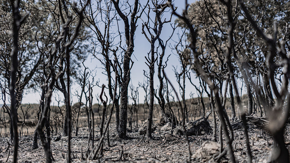 EU faces billions in wildfire costs – FT
