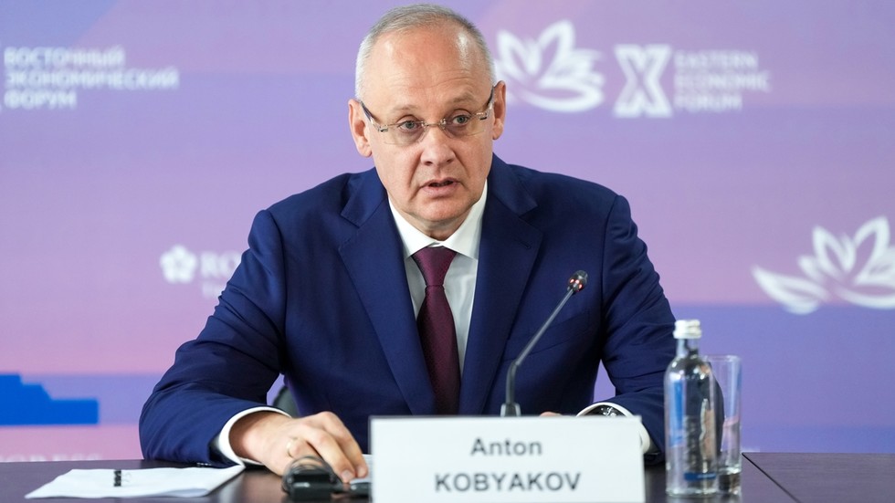 Russia rejects &lsquo;screwdriver assembly&rsquo; model for foreign business &ndash; Putin aide