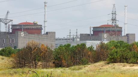 Zaporozhye nuclear power plant staff wounded by Ukrainian landmines &ndash; Rosatom CEO