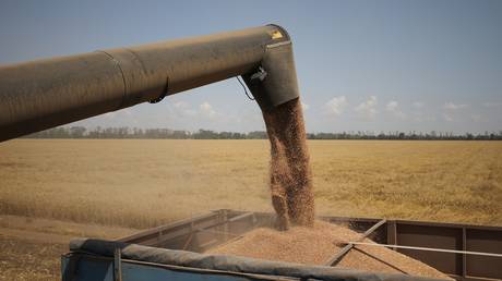 Putin-backed BRICS grain exchange expected to exceed $1 trillion turnover