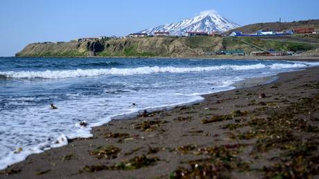 ‘Monstrous consequences- if Japan sticks to Kuril Islands claim  Medvedev