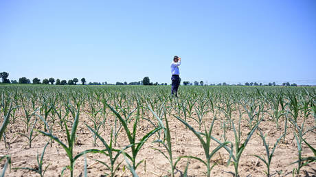 EU facing food crisis
