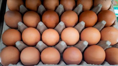 Ukrainian eggs blamed for UK salmonella outbreak – Telegraph