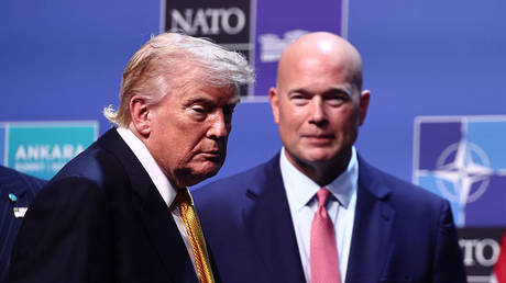 Europe only fourth on US security priority list &ndash; NATO envoy