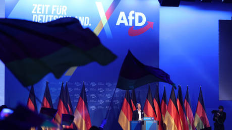 German establishment figures call for ban on country’s most popular party
