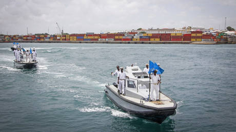 Somali and Turkish forces free ship seized by pirates