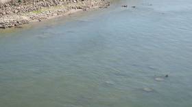 An exposed section of the shoreline along the Novi Sad waterfront is seen in Serbia, on July 30, 2026.
