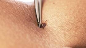 Rare virus with no cure detected in New York
