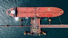India’s Russian crude imports hit record high – media
