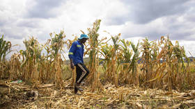 El Nino presents acute hunger threat to 49 million people – UN