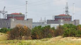 Zaporozhye nuclear power plant staff wounded by Ukrainian landmines – Rosatom CEO