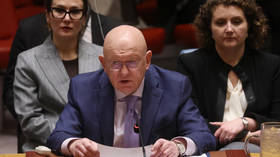 Russia's ambassador to the UN Vassily Nebenzia during a Security Council session.