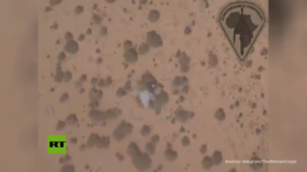 Dozens of militants killed in Mali army base battle