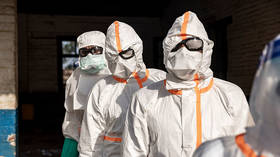 New Ebola variant linked to unknown animal source – study