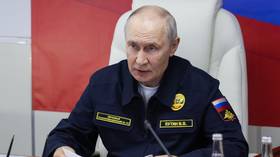India showing active interest in Arctic route – Putin