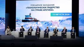 India to send first ship along Arctic route next year – official