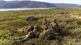 Danish conscripts practice concealment during training in Greenland, August 2026