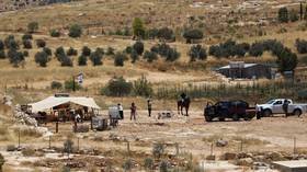 UN expert urges peacekeepers in Palestinian territories as settler attacks surge