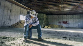 Iran war drives US farmers into worst crisis in 40 years – FT