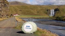 Iceland votes on its future in knife-edge EU referendum
