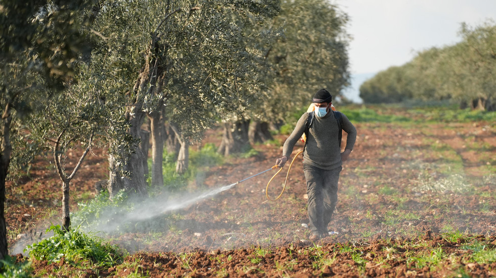 Pesticides poison nearly half of world’s farmers each year – study