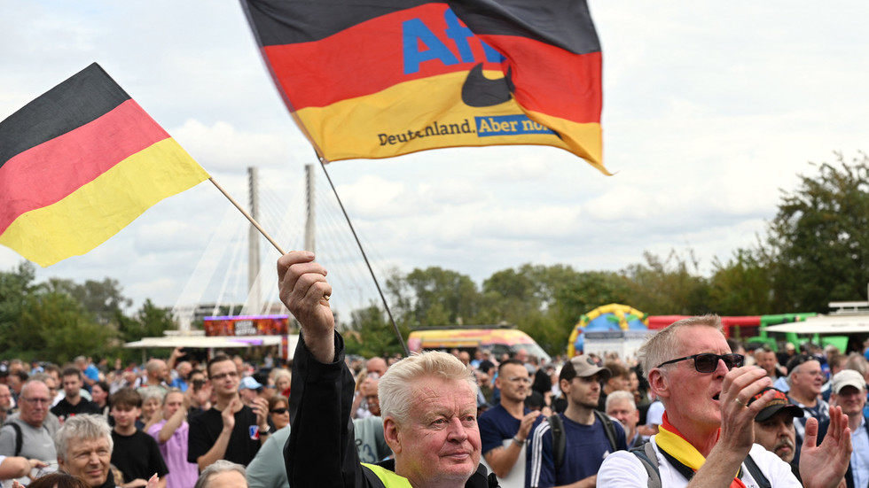 AfD is not the heroic opposition it claims to be