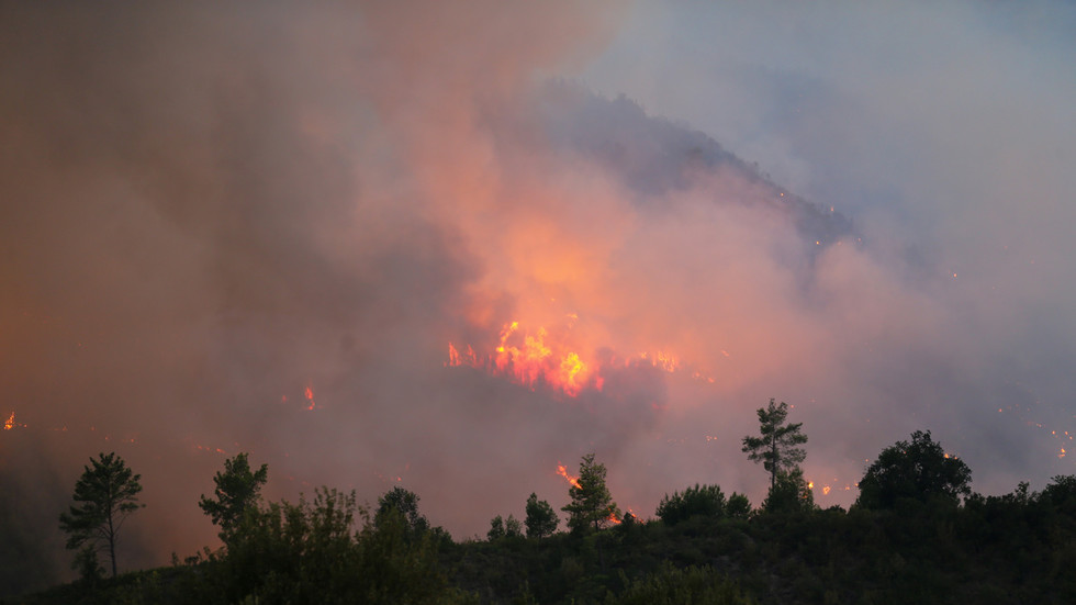Hundreds evacuated amid massive blaze in Türkiye’s Antalya (VIDEOS)