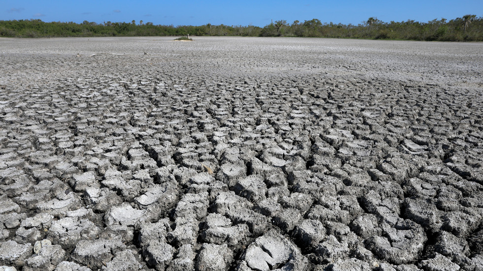 Heat not seen ‘for the last 100,000 years’ – climate monitor