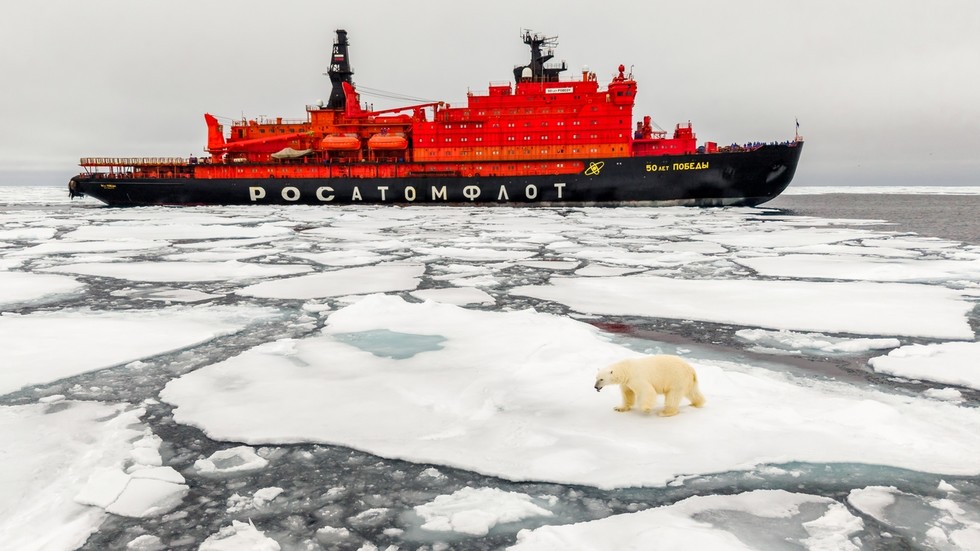 NATO states seeking to sideline Russia in Arctic cooperation – scholar