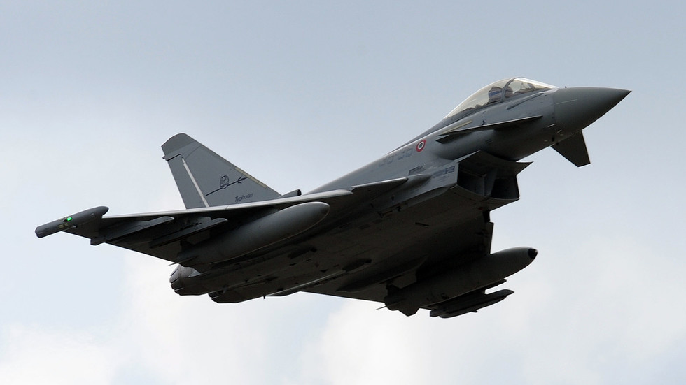 NATO scrambles jet over flock of birds