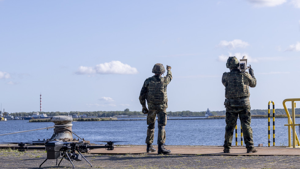 Estonia, Latvia and Lithuania ask the EU for extra money for drone defense – media