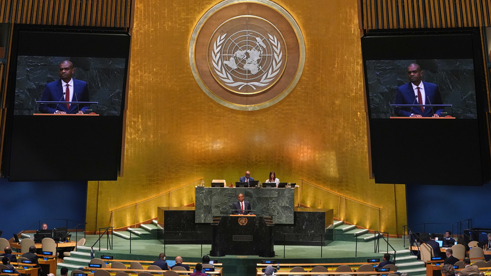 Tanzania launches bid for a UN Security Council seat for 2029–2030