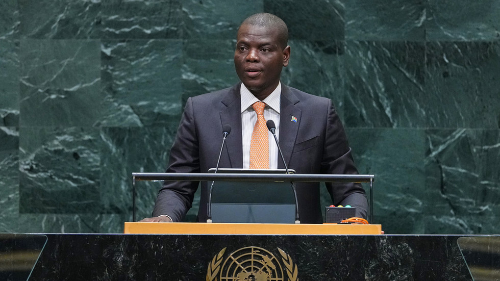 Africa must have a say in shaping global AI rules – South African FM