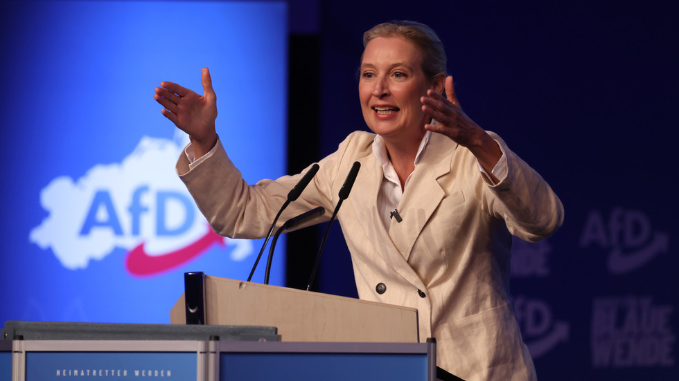 German Social Democratic Party revives push for AfD ban