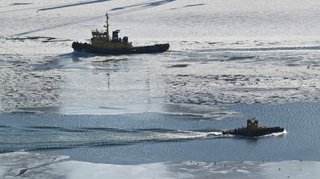 Arctic route saves time and costs for Indian shippers &ndash; CEO