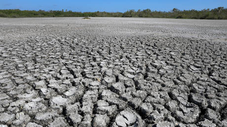 Heat not seen ‘for the last 100,000 years’ – climate monitor
