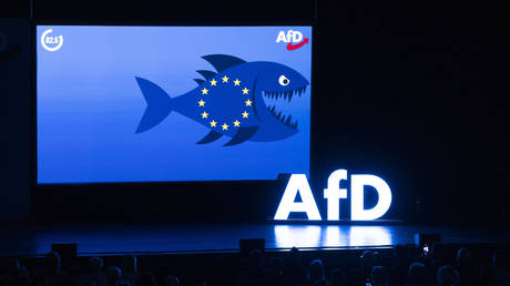 What the AfD really wants from China