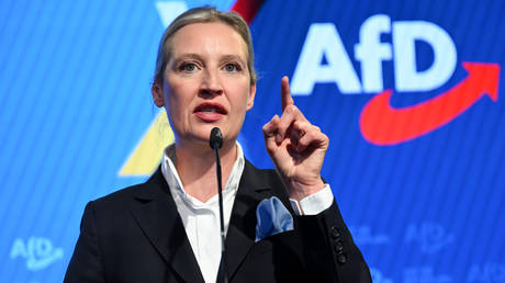 Ukrainians must leave Germany &ndash; AfD co-leader