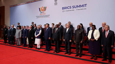 BRICS gives Global South a bigger voice &ndash; expert